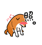 柴犬ワンワンスタンプ（個別スタンプ：10）