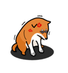 柴犬ワンワンスタンプ（個別スタンプ：11）