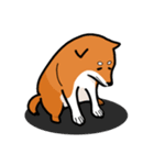 柴犬ワンワンスタンプ（個別スタンプ：12）