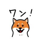 柴犬ワンワンスタンプ（個別スタンプ：14）