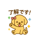 ゴールデンレトリバーの子犬用スタンプ（個別スタンプ：1）