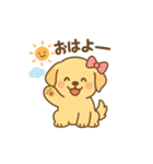 ゴールデンレトリバーの子犬用スタンプ（個別スタンプ：2）