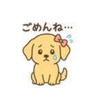 ゴールデンレトリバーの子犬用スタンプ（個別スタンプ：10）