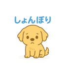ゴールデンレトリバーの子犬用スタンプ（個別スタンプ：12）