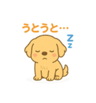 ゴールデンレトリバーの子犬用スタンプ（個別スタンプ：13）