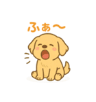 ゴールデンレトリバーの子犬用スタンプ（個別スタンプ：15）