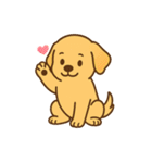 ゴールデンレトリバーの子犬用スタンプ（個別スタンプ：17）