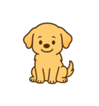 ゴールデンレトリバーの子犬用スタンプ（個別スタンプ：18）