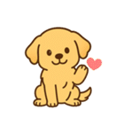 ゴールデンレトリバーの子犬用スタンプ（個別スタンプ：20）