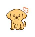 ゴールデンレトリバーの子犬用スタンプ（個別スタンプ：21）