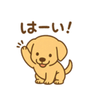 ゴールデンレトリバーの子犬用スタンプ（個別スタンプ：22）