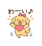 ゴールデンレトリバーの子犬用スタンプ（個別スタンプ：25）