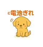 ゴールデンレトリバーの子犬用スタンプ（個別スタンプ：27）