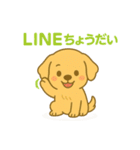 ゴールデンレトリバーの子犬用スタンプ（個別スタンプ：31）
