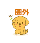 ゴールデンレトリバーの子犬用スタンプ（個別スタンプ：32）