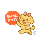 ゴールデンレトリバーの子犬用スタンプ（個別スタンプ：36）
