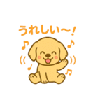 ゴールデンレトリバーの子犬用スタンプ（個別スタンプ：37）
