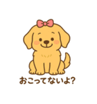 ゴールデンレトリバーの子犬用スタンプ（個別スタンプ：38）