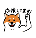 柴犬ワンワンスタンプ2（個別スタンプ：5）