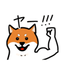 柴犬ワンワンスタンプ2（個別スタンプ：6）