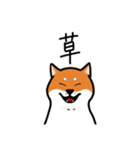 柴犬ワンワンスタンプ2（個別スタンプ：11）