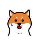 柴犬ワンワンスタンプ2（個別スタンプ：18）
