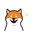 柴犬ワンワンスタンプ2（個別スタンプ：21）