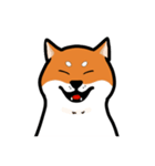 柴犬ワンワンスタンプ2（個別スタンプ：22）