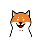 柴犬ワンワンスタンプ2（個別スタンプ：23）
