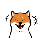 柴犬ワンワンスタンプ2（個別スタンプ：24）