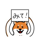柴犬ワンワンスタンプ2（個別スタンプ：26）