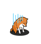 柴犬ワンワンスタンプ2（個別スタンプ：30）