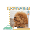タートルスタンプ 13250274（個別スタンプ：4）