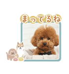 タートルスタンプ 13250274（個別スタンプ：7）