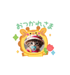 可愛い子猫kawaiineko（個別スタンプ：4）
