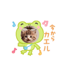 可愛い子猫kawaiineko（個別スタンプ：6）