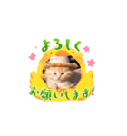 可愛い子猫kawaiineko（個別スタンプ：7）