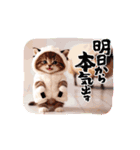 可愛い子猫kawaiineko（個別スタンプ：8）