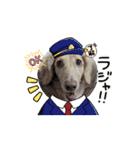 Louis ＆ Latte（個別スタンプ：2）