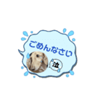 Louis ＆ Latte（個別スタンプ：3）