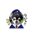 分からない事だらけです（個別スタンプ：1）