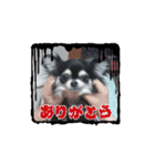 分からない事だらけです（個別スタンプ：5）