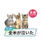 テヌレオポン日常スタンプ（個別スタンプ：10）