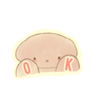 ♡トイプードルびより♡（個別スタンプ：13）