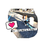 パピヨン レオ！（個別スタンプ：3）