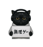 エキゾチック(猫)プロデューサー（個別スタンプ：11）