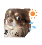 かわいすぎるわがこたちスタンプ（個別スタンプ：2）