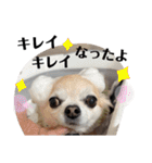 かわいすぎるわがこたちスタンプ（個別スタンプ：4）