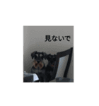 ミナミキッズギャル（個別スタンプ：7）