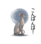 汎用コーニッシュレックススタンプ（個別スタンプ：3）